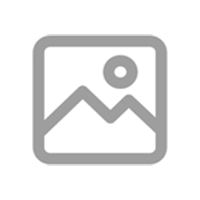 Logo SIT Darul Fikri