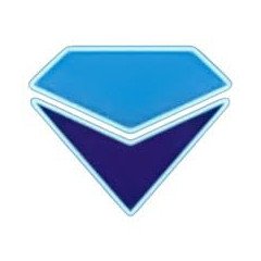 Logo PT Diamond International Indonesia