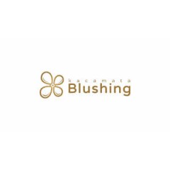 Logo PT. Blushing Vision Retailindo