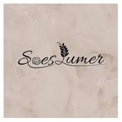 logo soes lumer