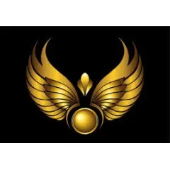 logo Golden9Wings