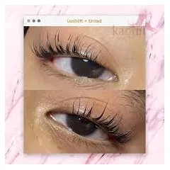 logo Studio Eyelash Brow Nail Art Salon Bogor