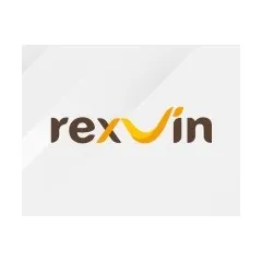 logo Rexvin Group