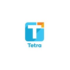 Logo PT Tetra Oetama Putra