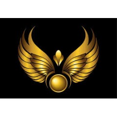 Logo Golden9Wings