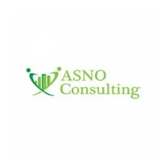 logo Asno Consulting