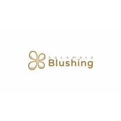 logo PT. Blushing Vision Retailindo