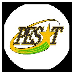 Logo YAYASAN PESAT BIRRUL WALIDAIN (Sekolah Pesat)
