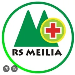 logo RS MEILIA