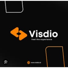 Logo VISDIO