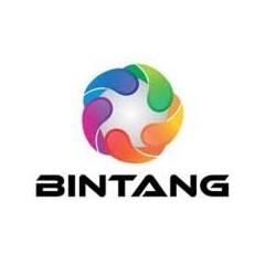 Logo PT Bintang Internasional