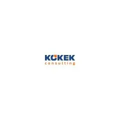 logo KOKEK Consulting
