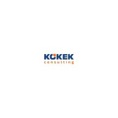 Logo KOKEK Consulting