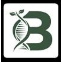 Logo BERRYDAY! Sukaraja - Sukabumi