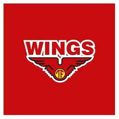 Logo Wings Group