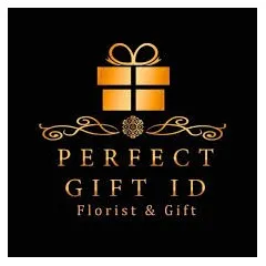 logo PERFECT GIFT ID