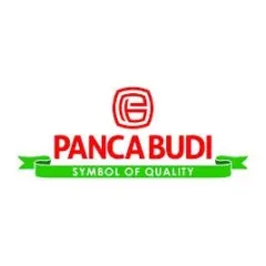 logo Pancabudi Group