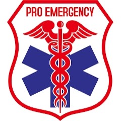 Logo PRO EMERGENCY