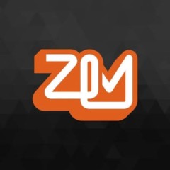 Logo ZLM.ID store