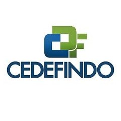 Logo PT Cedefindo